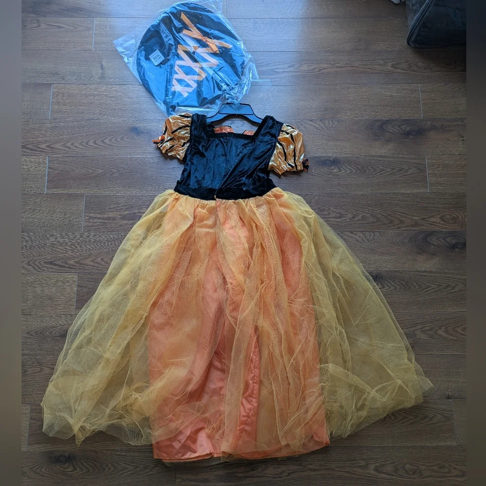 Hyde & Eek! Kid Fancy Witch Costume Size L 3+ Dress & Hat